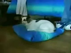 動きの間のオーガズム。 女子 の ため エロ 動画