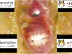 ベトナム性包茎 女子 の ため の エロ 動画